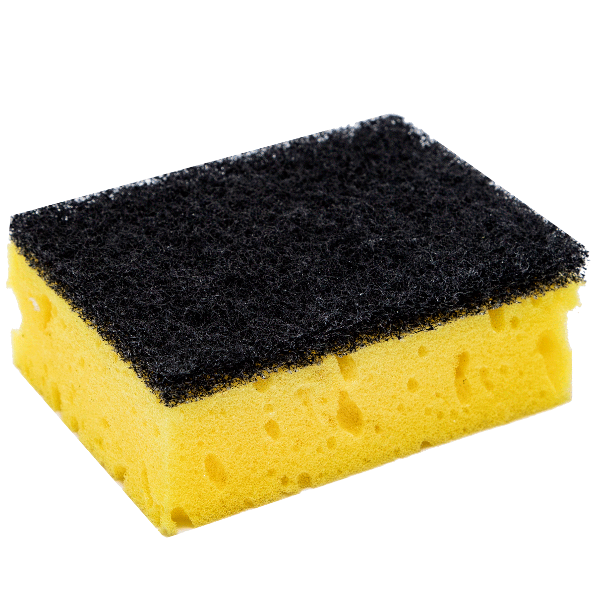  Sponge dishwasher 231P